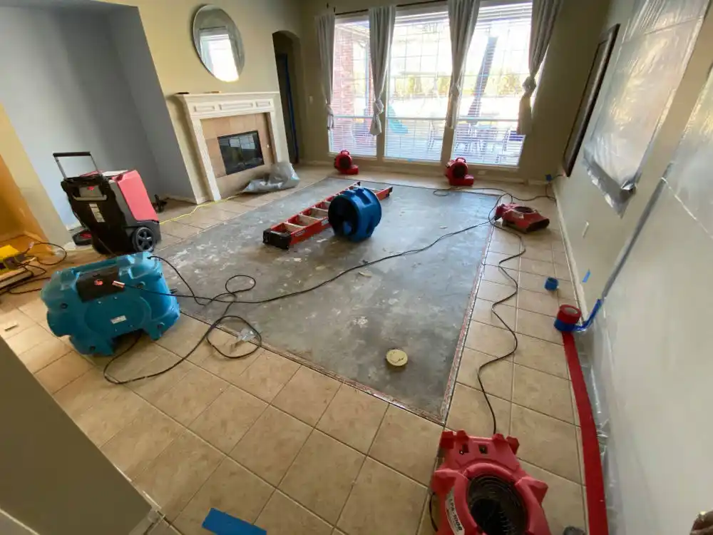 water damage restoration service Loxley
